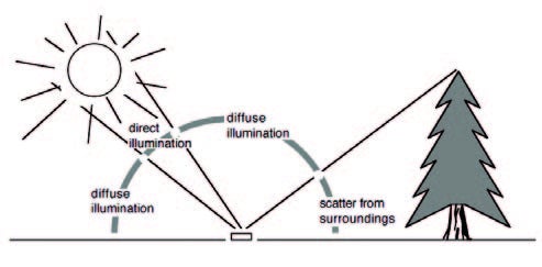 Fig 1.jpg