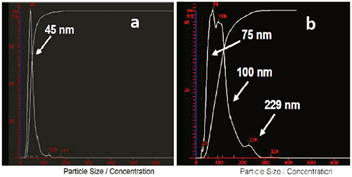 MRK1986-01_Fig_3